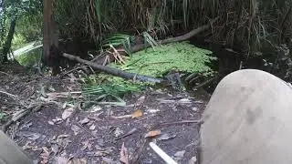 Konten Mancing Yang GAGAL