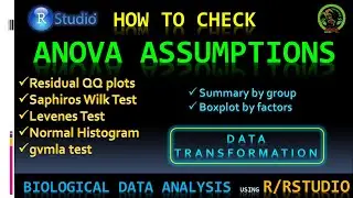 Check ANOVA assumptions in RStudio | Data transformation | Saphiro Wilk test for Normality