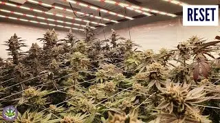 Harvested, Now What?