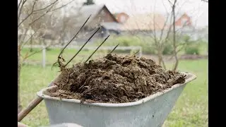Как же красиво было сказано...