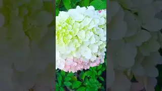 Ну зравствуй, осень!