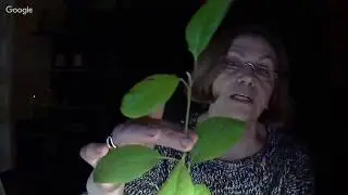 Приглашаю на прямой эфир!