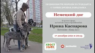 Немецкий дог / Ирина Каспарова. Питомник 