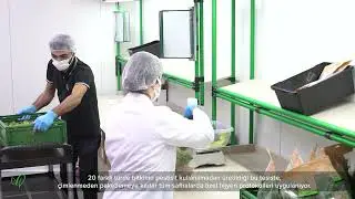 Plant Factory   İstinyePark Tesis Videosu