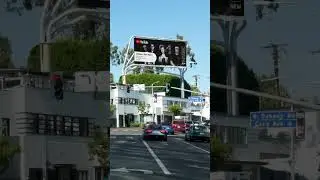 Landed on a billboard on Sunset Blvd. in Hollywood ⭐️