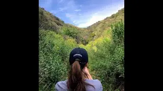 [FREE] Acoustic Ukulele x Dominic Fike Type Beat  | 