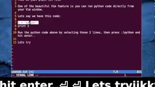 Running Python Code from Vim Window