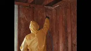 Mold Remediation! Call 662-760-4348!