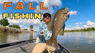 These Baits Catch Fall Bass!! (Subtle Tricks To Get More Bites)
