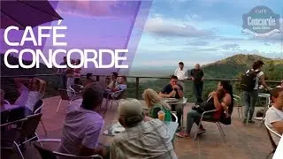 CAFÉ CONCORDE  / Visualbit