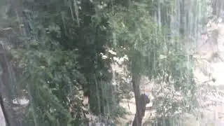 Ливень