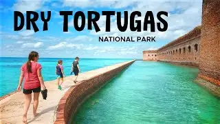 Explore Dry Tortugas National Park