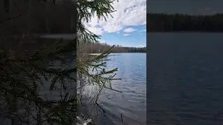 Река Лоймож. Пряжинский район