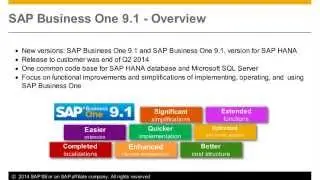 Mustard Seed SAP Business One 9 1 Highlights