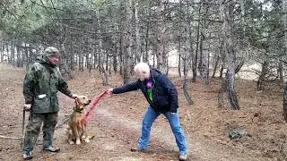 Фила 1 тест