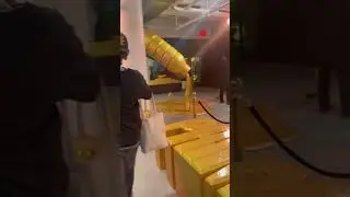 Gold Prime Bottle