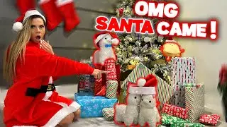My Llamas Go CRAZY When SANTA SHOWS UP !! WHAT DID HE BRING THEM ?!?