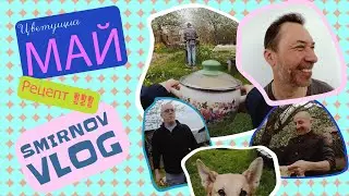 Шашлык, Уникальный Рецепт Жареного Лука / Махаон / Семья, Коты, Собака Атос / Smirnov Vlog