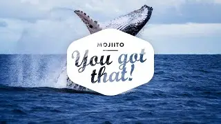 MOJIITO - YOU GOT THAT!