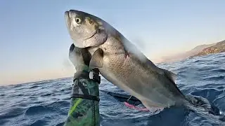 Chasse sous marine Côte d'azur juin 2020