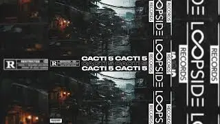 [10+] FREE TRAVIS SCOTT SAMPLE PACK / LOOP KIT - CACTI 5 (CUBEATZ, DON TOLIVER, DARK, SOUTHSIDE)