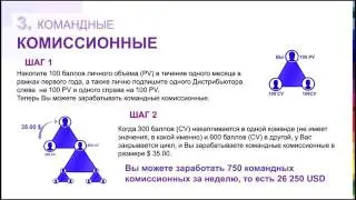 Маркетинг План Jeunesse Global