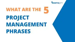 What Is The Project Life Cycle & Why It's Still Important