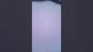 Салют , гепард , и пантэра