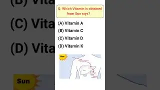 Vitamin from Sun rays 🤔 #science #shorts
