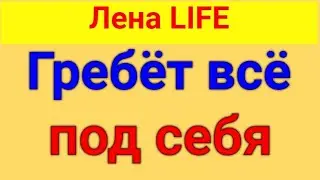 Лена LIFE. Обзор влогов. Уделает, как бог - черепаху. 23 06 2024 Лена