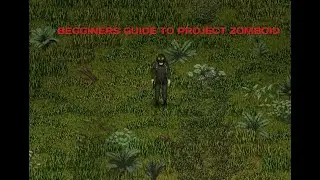 Begginer´s guide to Project Zomboid
