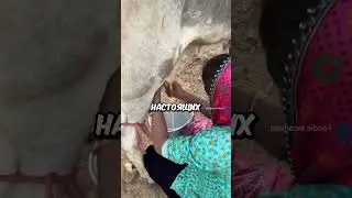 Мужчина начал делать только НАТУРАЛЬНОЕ масло!😳