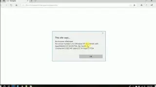 JavaScript program to show browser information (Navigator object)