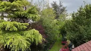 DJI Mini 4 Pro Drone over my garden