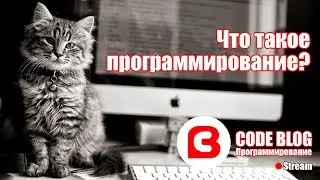 Что такое программирование - Основы программирования