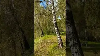 #путешествия