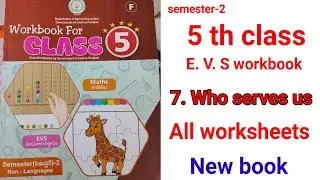 #5th