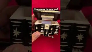 A beautiful puzzle box with many secrets to it! 