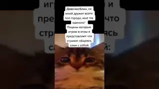 #мемы