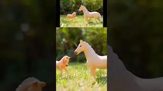 A few of my rare Schleich horses! ~ August Photography