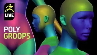 Основы Z-Brush:  Что такое POLYGROOPS.