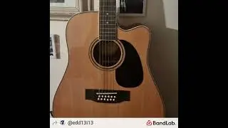 Edward Hunter Essential 12 string test tunes when took from its case first time EDHX 🦋