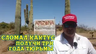 Экстремальная работа в Аризоне