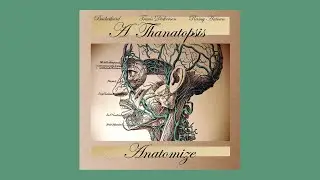 Thanatopsis - Unnerved [Buckethead, Travis Dickerson]