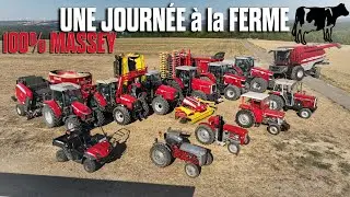 🤠🐄 A DAY at SCHERTZ FARM: 100% MASSEY - SOWING - BLISTING - SPREADING - Stubble Cultivation 🌾