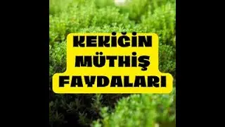KEKİĞİN MÜTHİŞ FAYDALARI