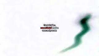 1986 Walt Disney Home Video Logo Effects Round 1 vs Everybody (1/10)