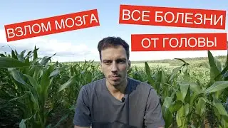 ПЕРЕСТАНЬ СЧИТАТЬ СЕБЯ БОЛЬНЫМ