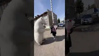 Плакали все 🥹