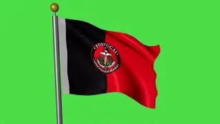 -Portuguese Marines Association- Official Flag on Green Screen